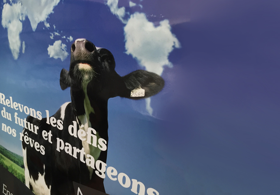 Affiche réalisée pour Alsace Lait pour leur communication interne