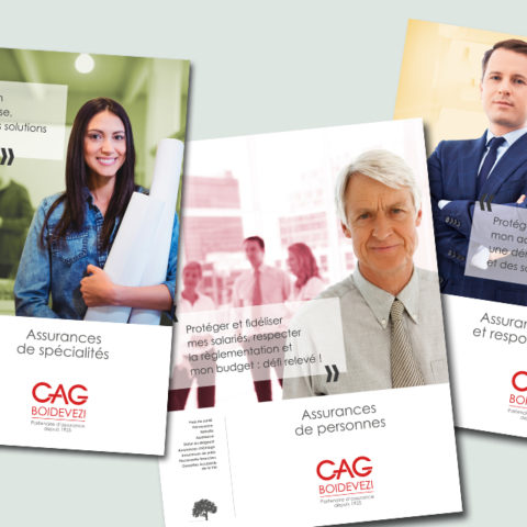 Affiches institutionnelles déclinées en fonction des différentes expertises du cabinet CAG Boidevezi