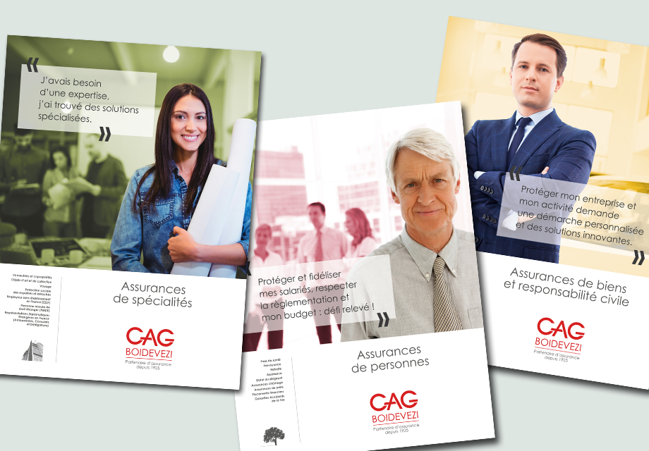 Affiches institutionnelles déclinées en fonction des différentes expertises du cabinet CAG Boidevezi