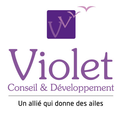 Logo de l'entreprise violet conseil & développement