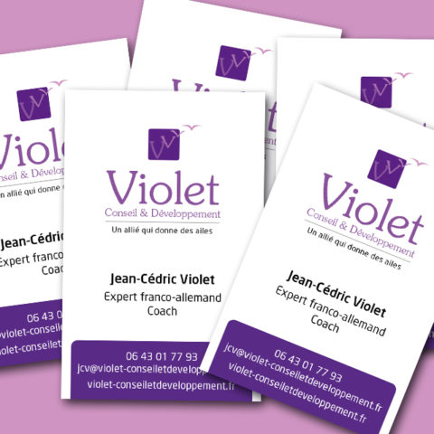 Cartes de visites pour Violet Conseil et Développement image entreprise