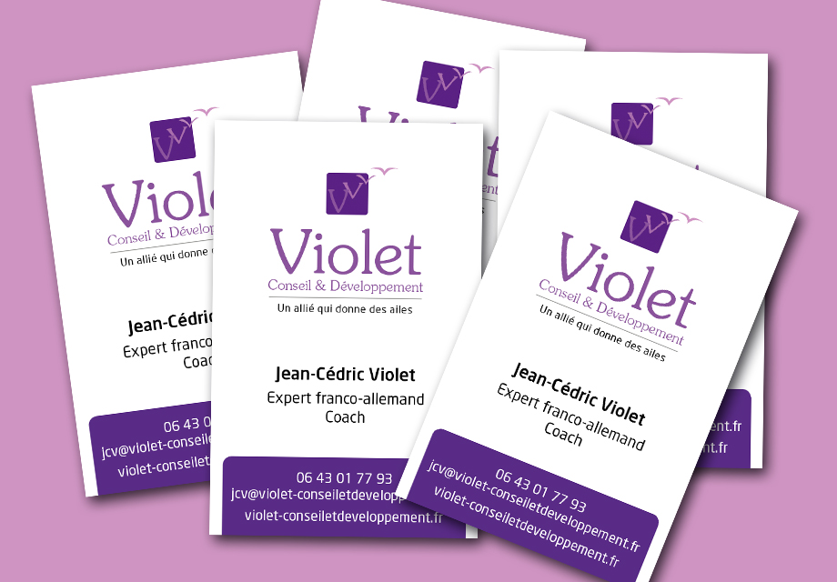 Cartes de visites pour Violet Conseil et Développement image entreprise