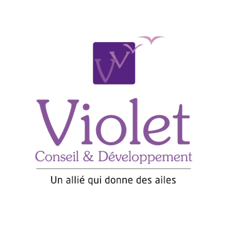 Logo Violet Conseil et Developpement