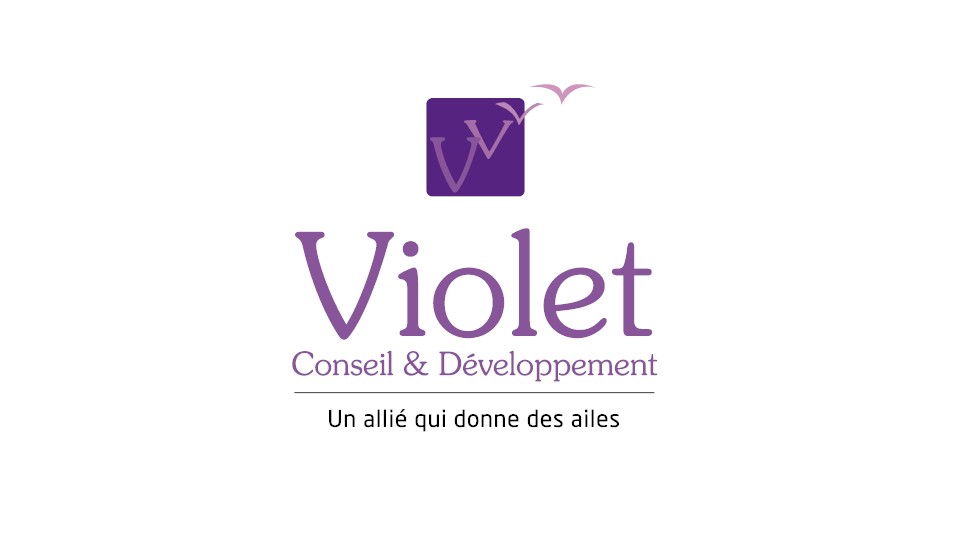 Logo Violet Conseil et Developpement
