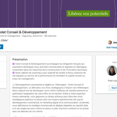 Violet Conseil et Developpement sur les reseaux sociaux LinkedIn